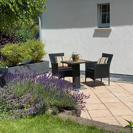 Blick Ins Gruene * Winterberg