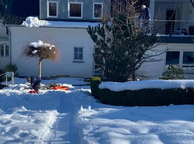 Blick Ins Gruene Lejlighed