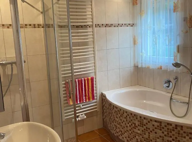 Blick Ins Gruene Daire Winterberg